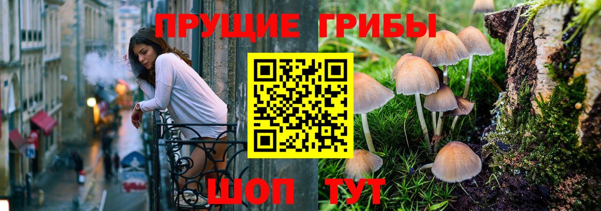 Псилоцибиновые грибы MAGIC MUSHROOMS Сургут